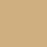 light_brown_background